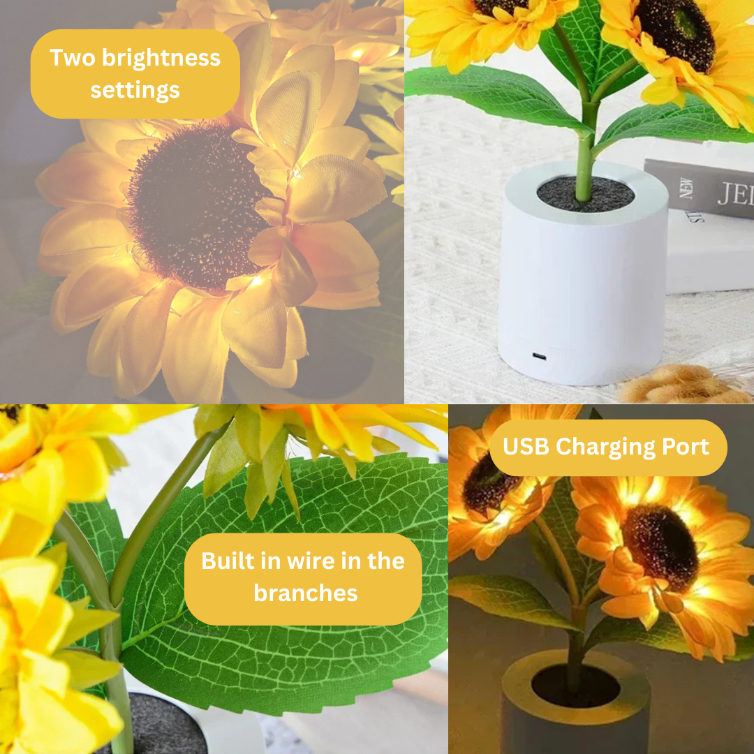 Warm & Cosy Sunflower Lamp